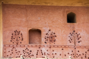 Amber fort detail