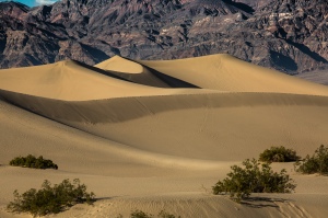 Mequite sand dunes